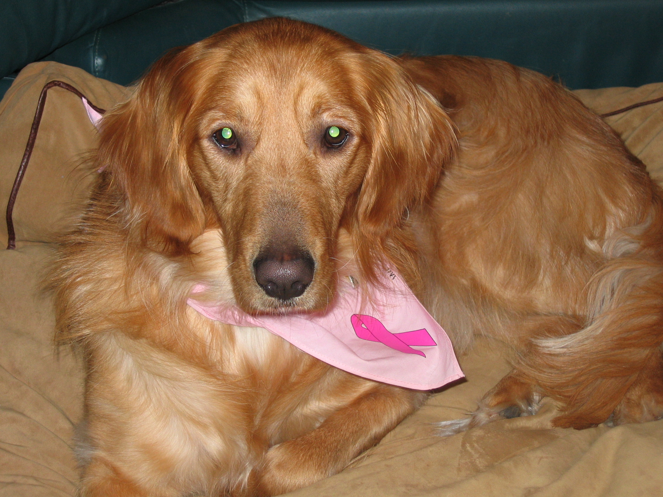 Relaxing - December 2004