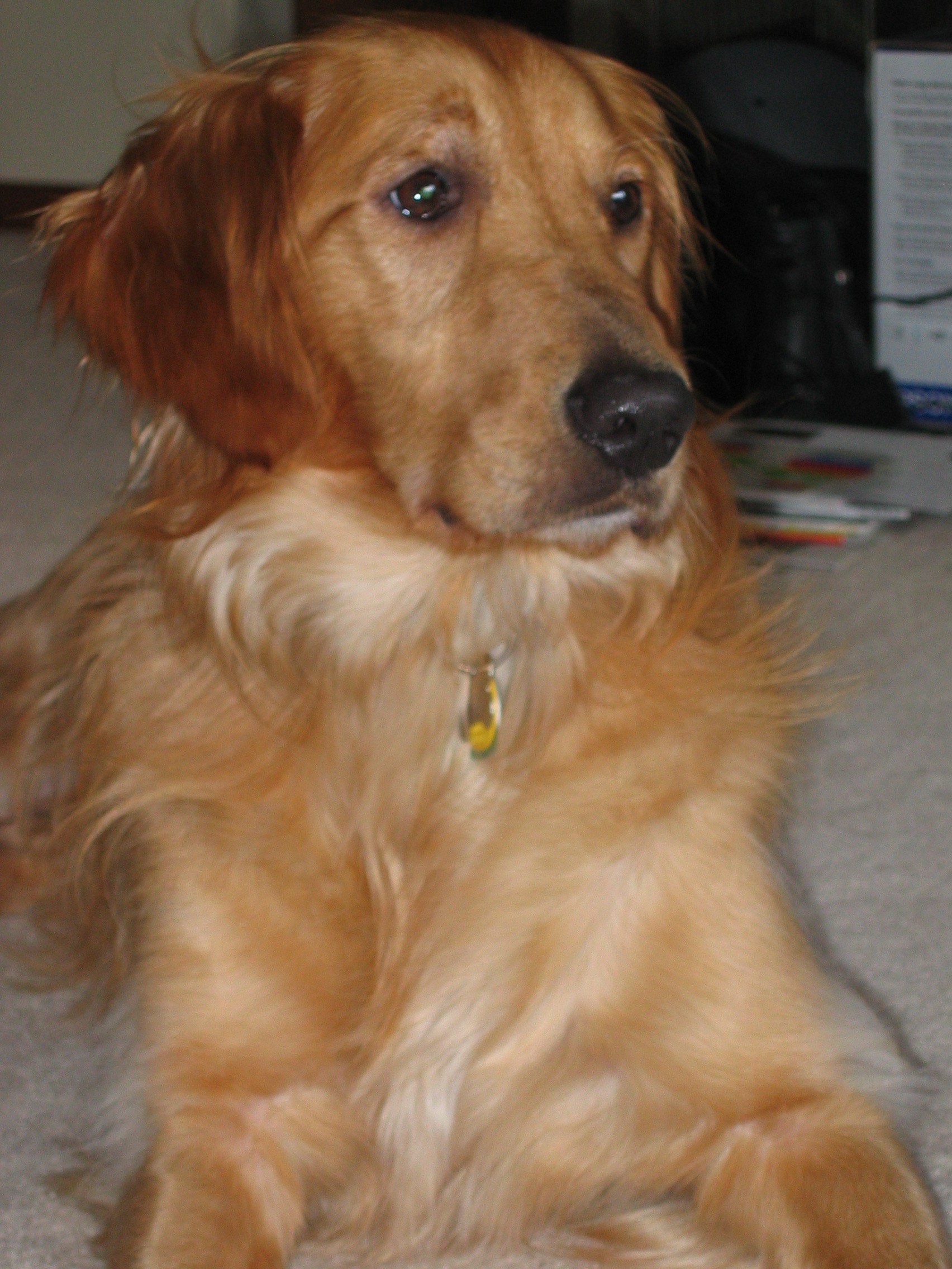 What are all the boxes are for? - Matt moving June 2005