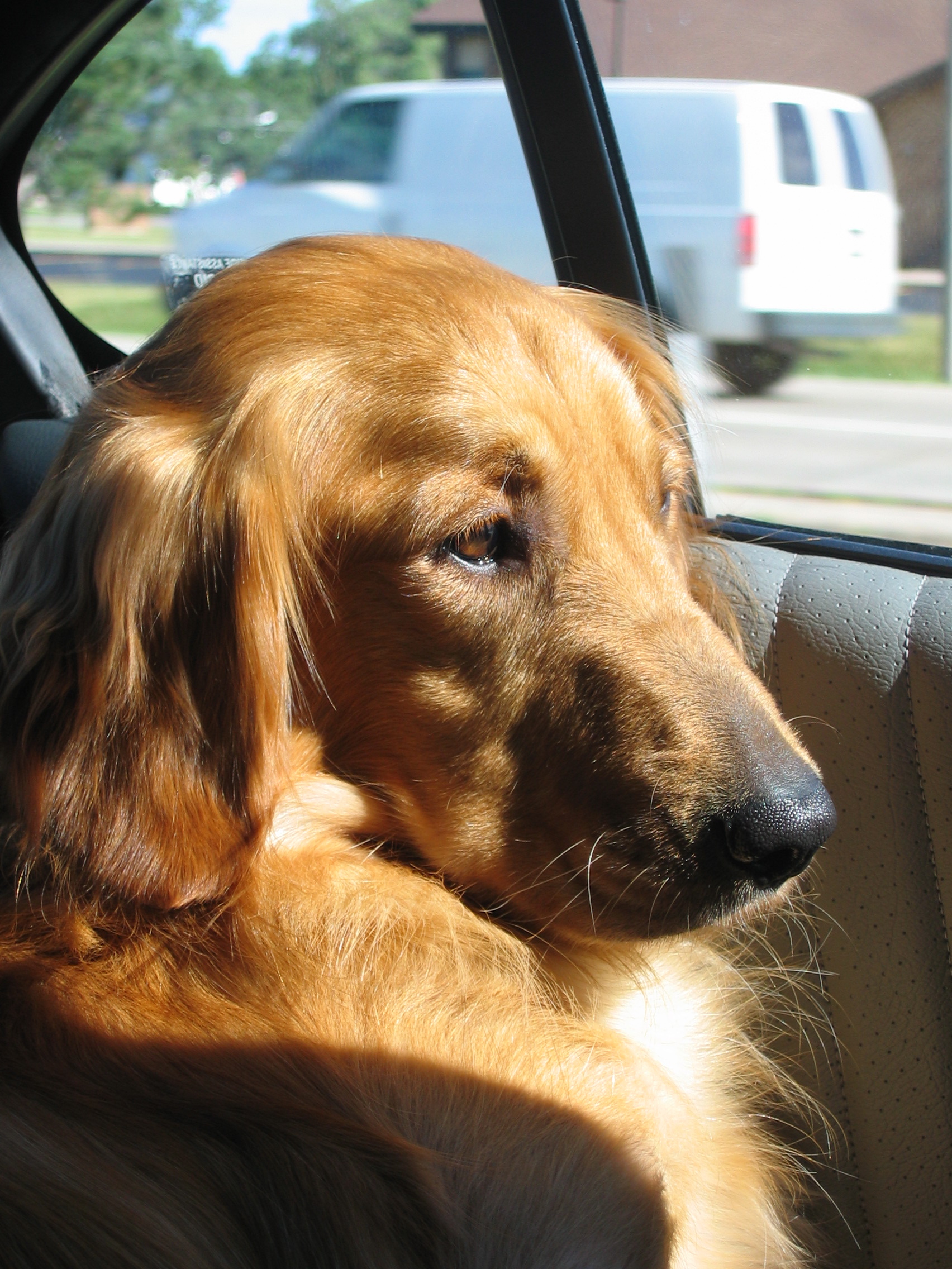 Riding in the car - July 2005