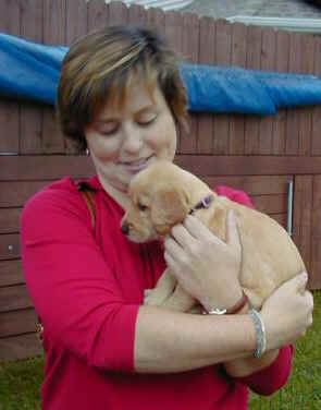 Tegwen & Kelly - 6 Weeks old